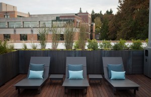 Rooftop Deck - TreeHouse Apartments - Portland, Oregon